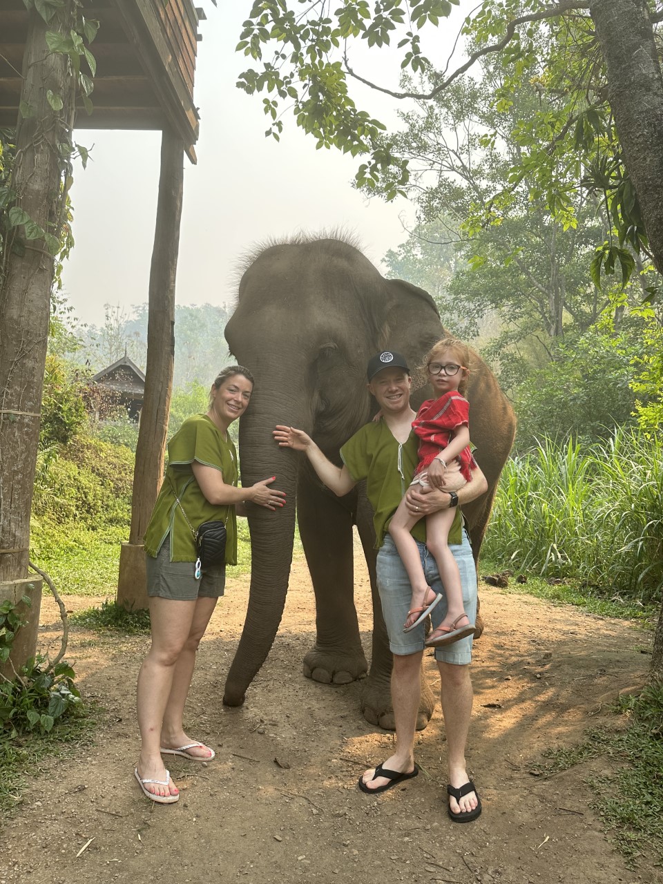 Olifanten spotten in Thailand